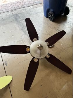 Indoor ceiling fan