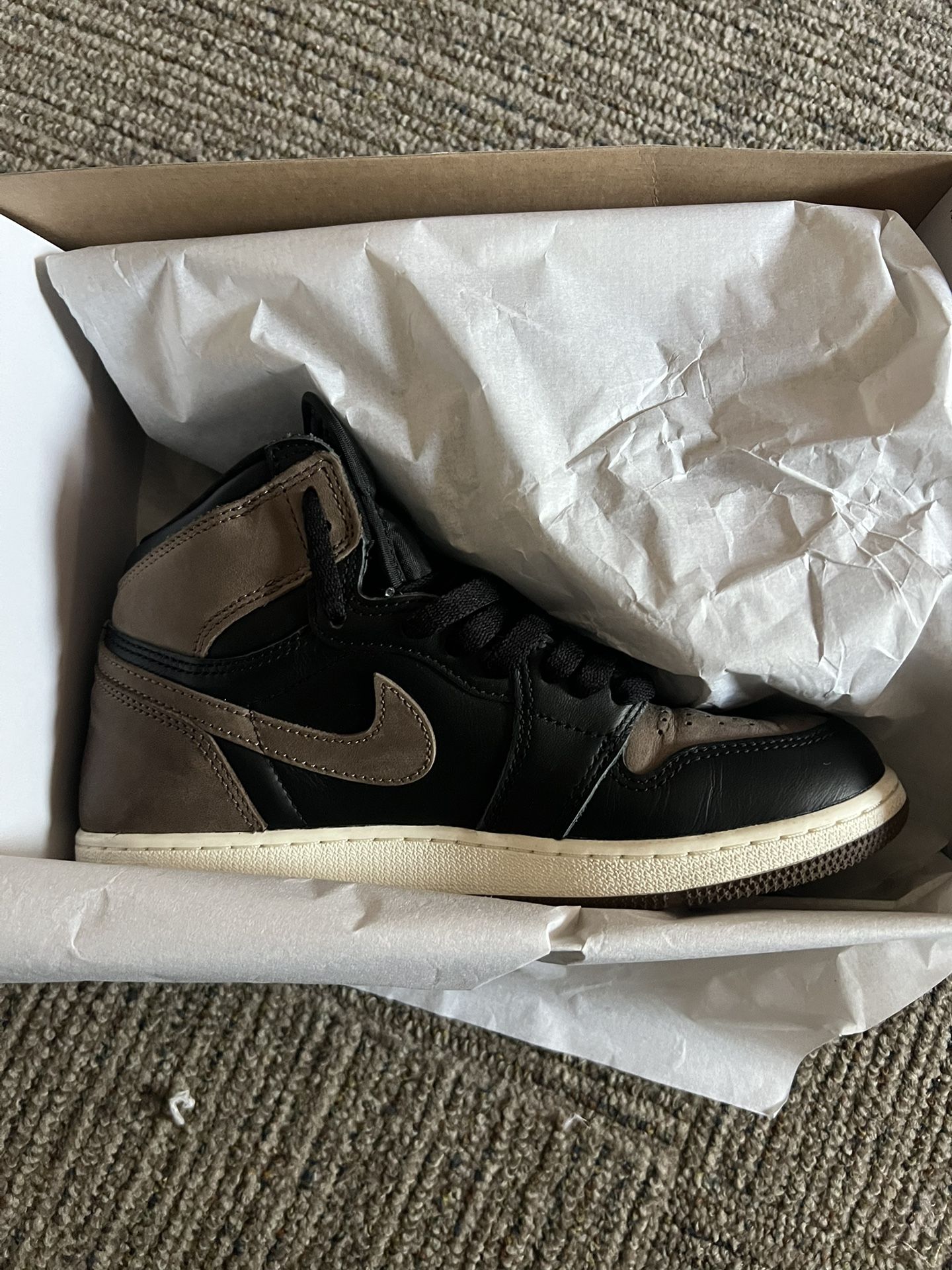 Air Jordan 1 “Palomino”