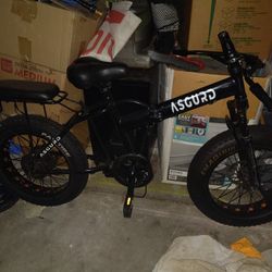 Project Ebike 