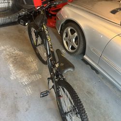 Adult Bike