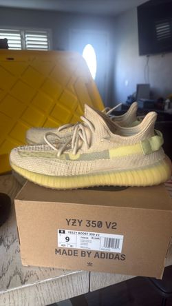 Yeezy boost 350 v2