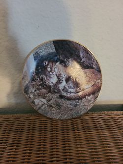 porcelain collectors plate