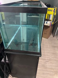 75 gallon aquarium