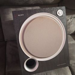 Sony 10" Subwoofer 