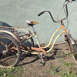 1975 Schwinn Tri wheeler Town And Country Bicycle 