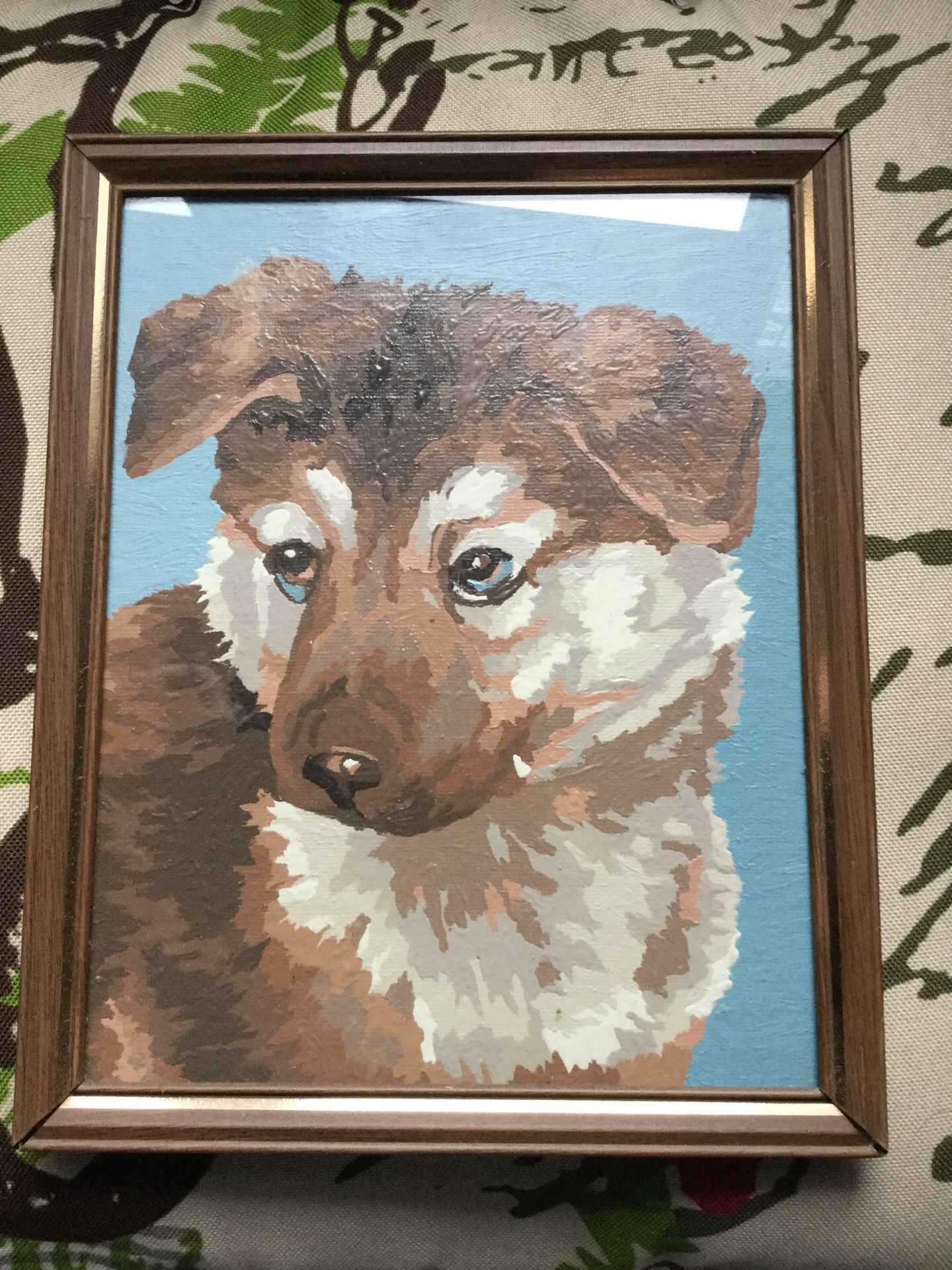 Vintage Paint by Number Framed PUPPY DOG 8x10”