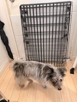 Dog perimeter pen (bought new on amazon)