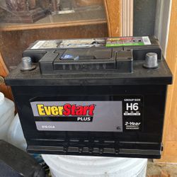 Ever Start battery 