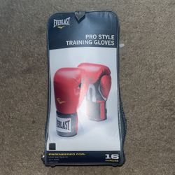 Everlast Boxing Gloves