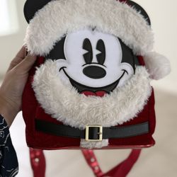 Disney Bag