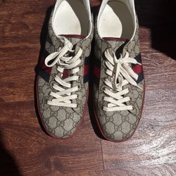 gucci sneakers 