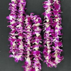 Graduation Leis (NOT FREE)