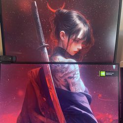 2 Monitors With Mount 