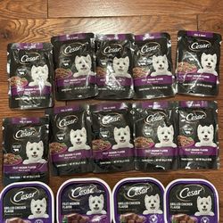 Cesar dog food all for $10