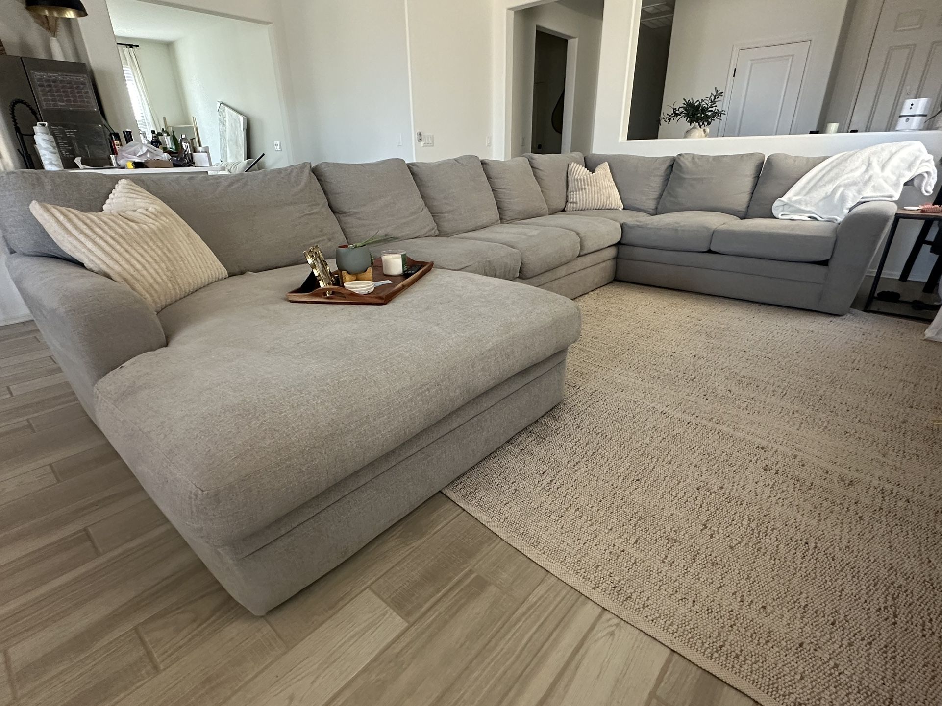 Living Spaces Couch - Goose Down Cushions