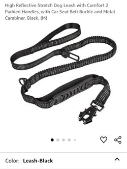 Dog Leash