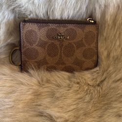 Coach Card /money Case 