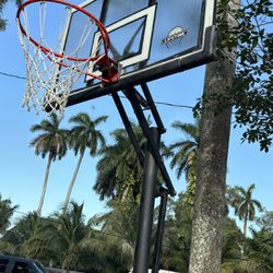 Basketball Hoop NBA size Lifetime