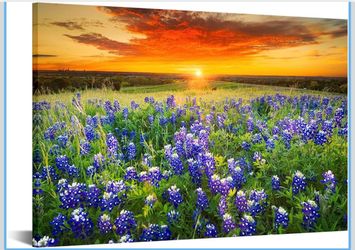 Brand New Texas Sunset Picture Wall Art Beautiful Bluebonnets Field Canvas Painting Natural Landscape (32”x48”)