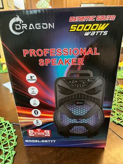 Speaker 5000W Professional