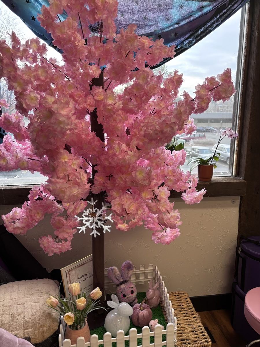 Pink Cherry Blossom Tree