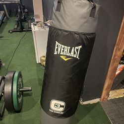 Everlast Punching Bag 