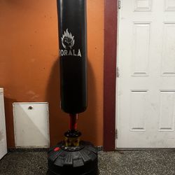 RORALA Mixed Martial Arts Training Bag. 
