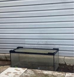 20 gallon tank