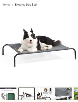 Elevated dog or cat bed. Bedsure new in box.