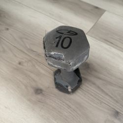 10 Pound Dumbbell 