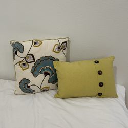 World Market Throw Pillows