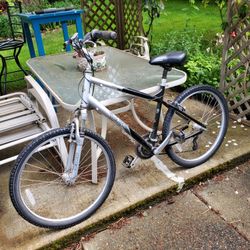 Del Sol Comfort Bike