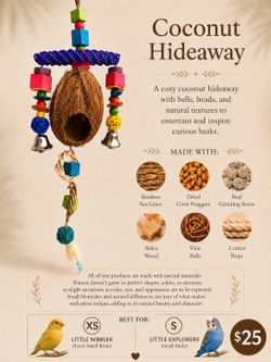 Coconut hideaway