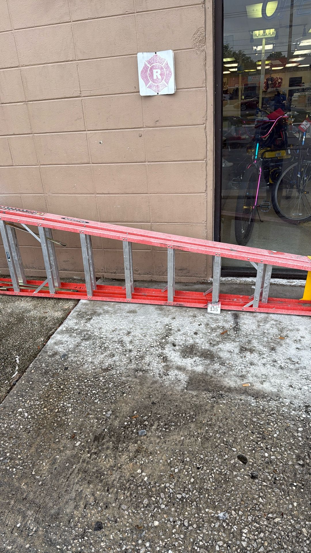Werner 12ft Ladder