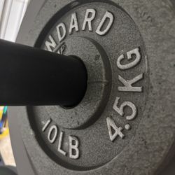 CAP Barbell 2-Inch Olympic 10LB Weight Plate - Pair