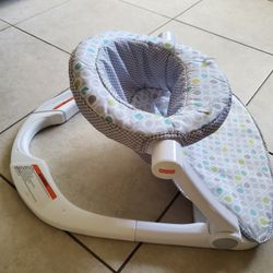 Fisher Price Booster Seat