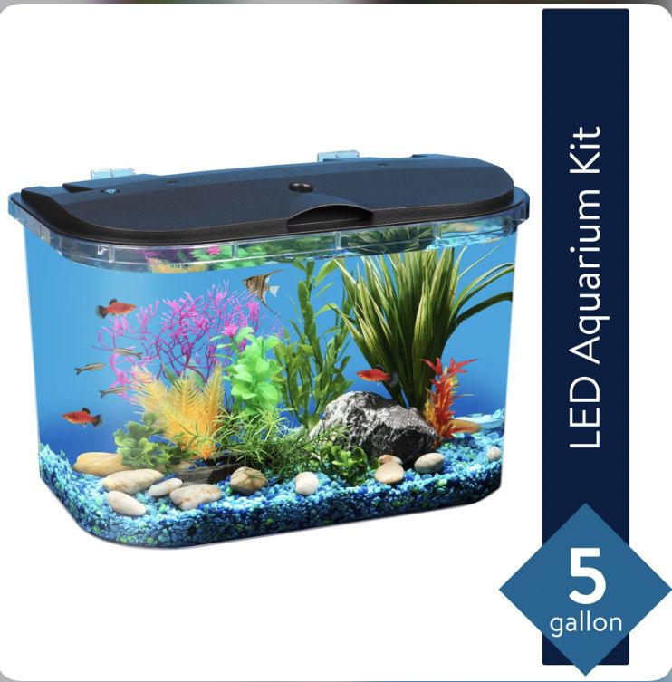 KollerCraft 5-Gallon Panaview Aquarium with LED Lighting and Power Filter, Ideal for a Variety of Tropical Fish