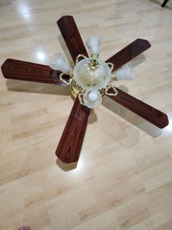 Ceiling fans
