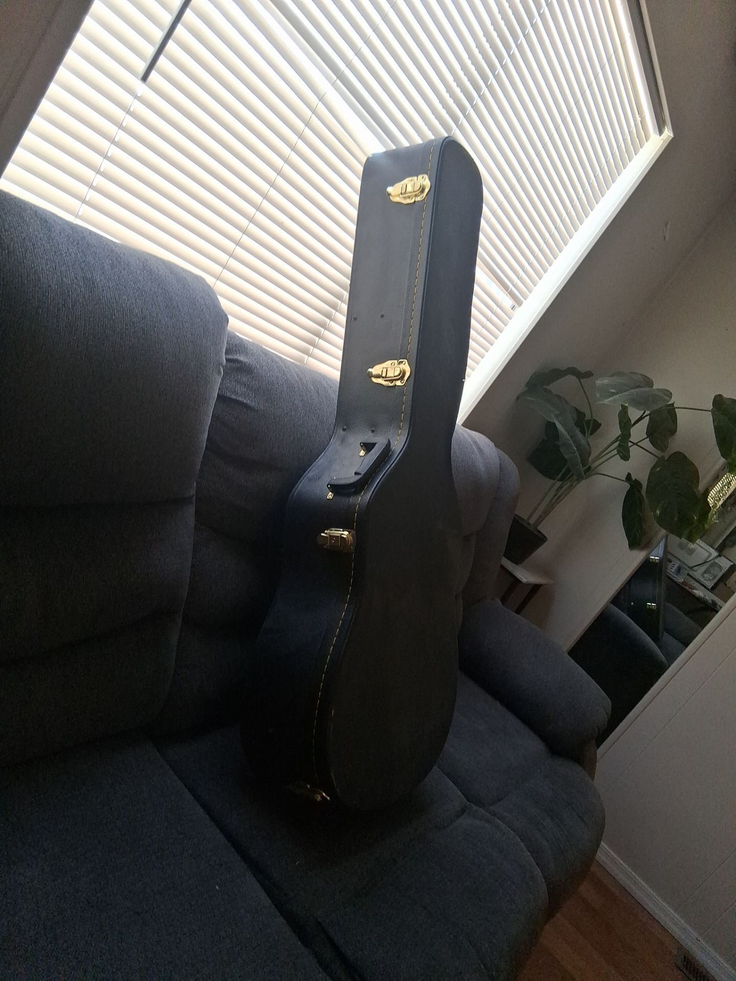 Acoustic Guitar