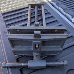 Colombian bench fries