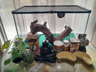 Pet Supplies Terrerium Aquarium Reptile Heat Lamp Hobbies Entertainment Gardening