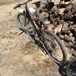 Roadmaster Womens Bike