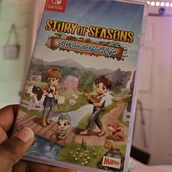 Nintendo Switch Story Of Seasons A Wonderful Life
