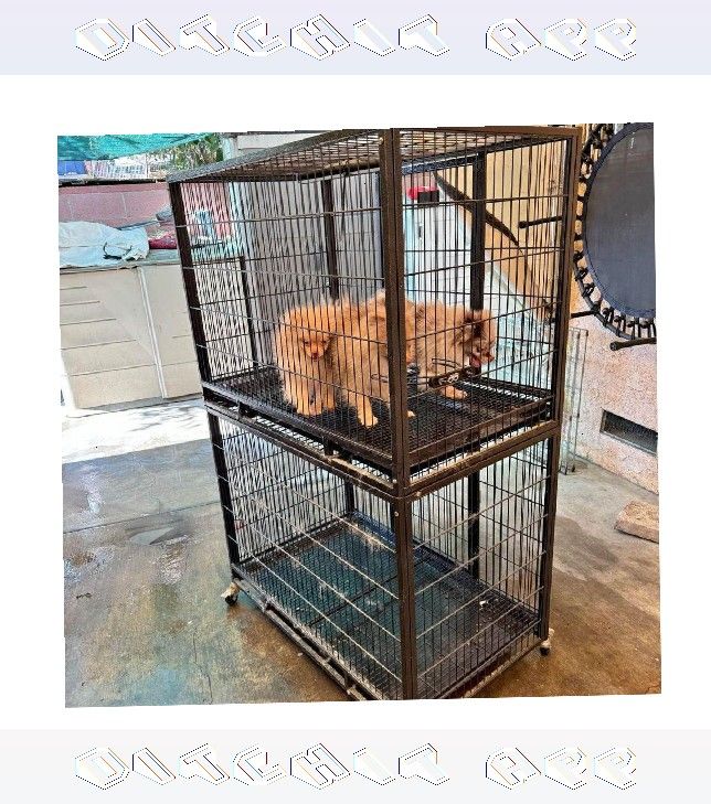 Pet Cages in Multiple Forms to Match All Pet Types same bad