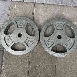 (2) 25 Lbs Cast Iron Plates Total 50lbs 