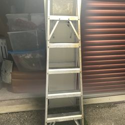 6 Ft Ladder 