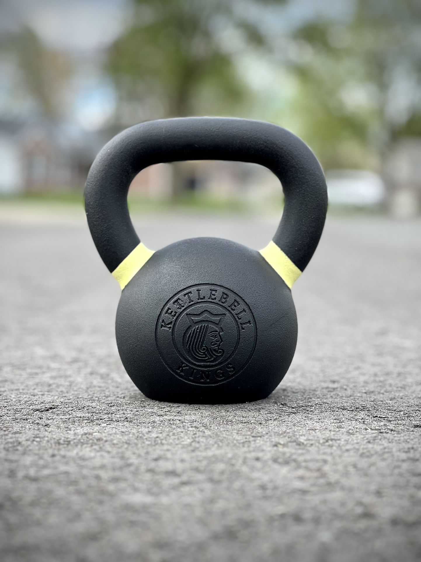 30lb Kettlebell Kings Kettlebell