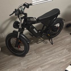 RIDSTAR Q20 ADULT E-BIKE FAT TIRES