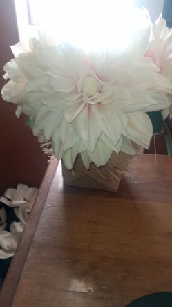 Artificial Plant