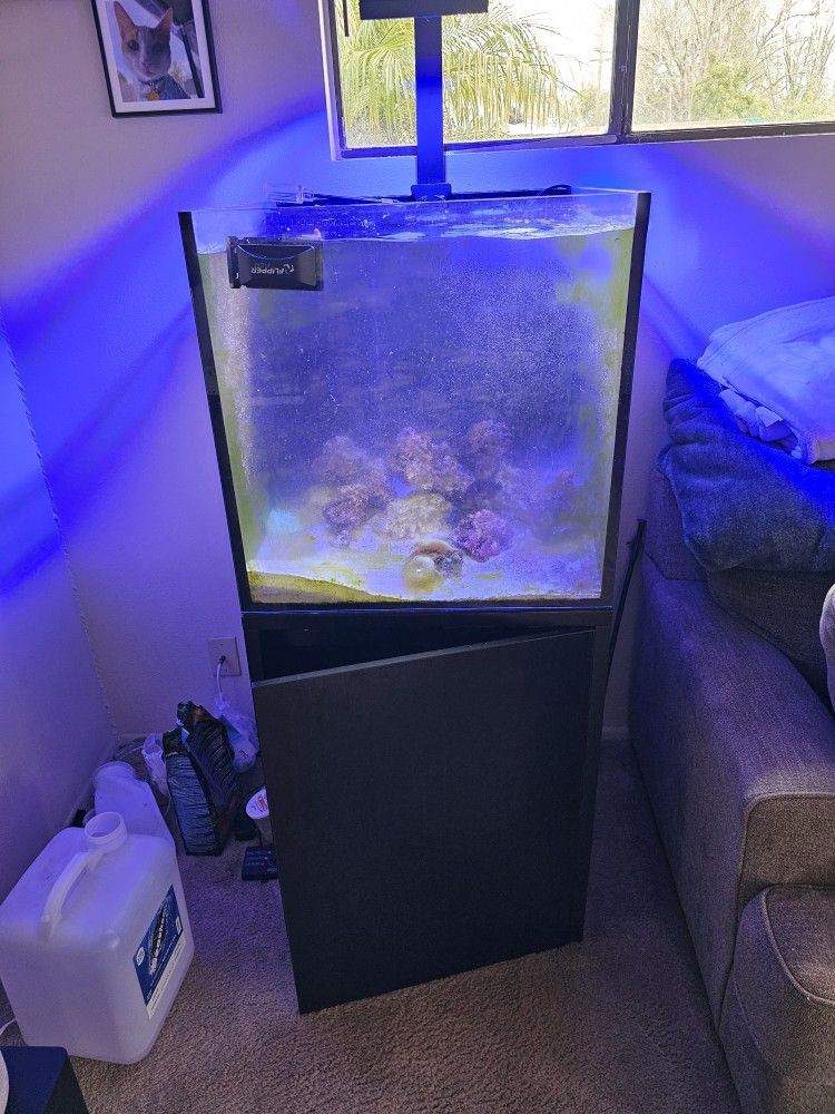 60 Gallon Salt Water Fish Tank
